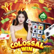 ivibet cassino
