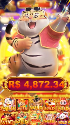 211br